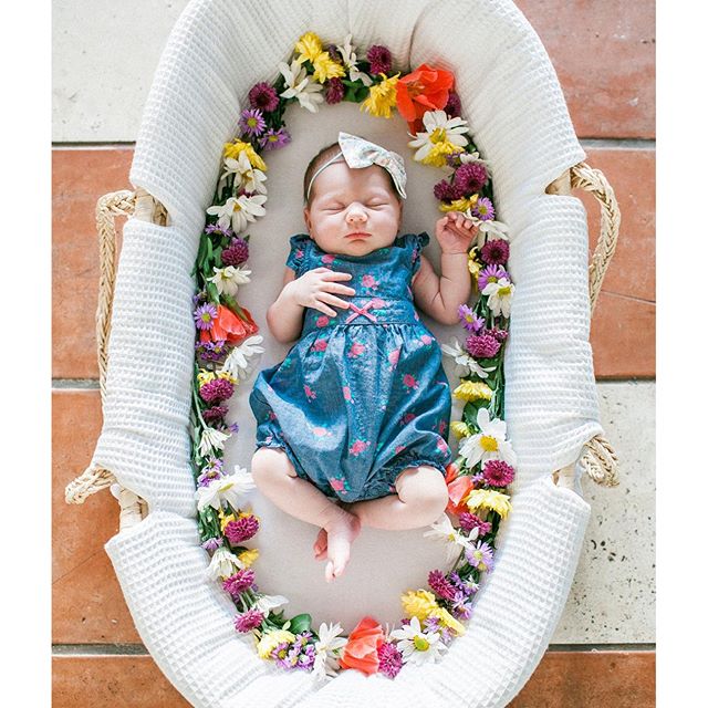 Newborn baby girl in flower crib | @namastetiff on Instagram