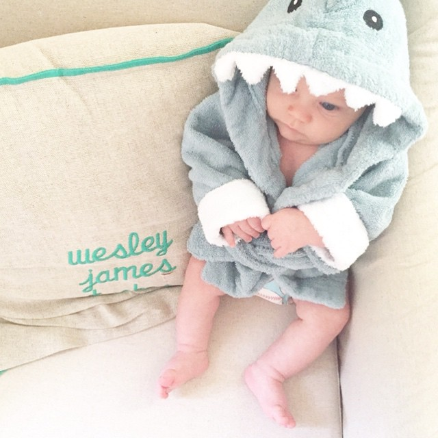 Baby in Shark Robe via @_sarahtucker on Instagram 