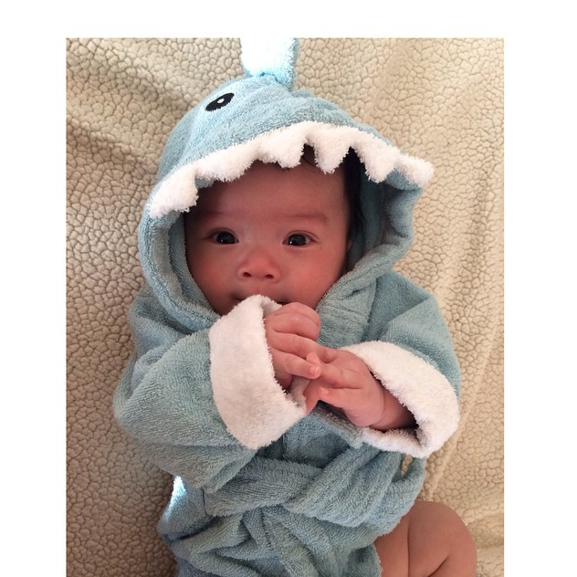 Baby Sitting in Shark Robe | via @superbaby_benji  on Instagram
