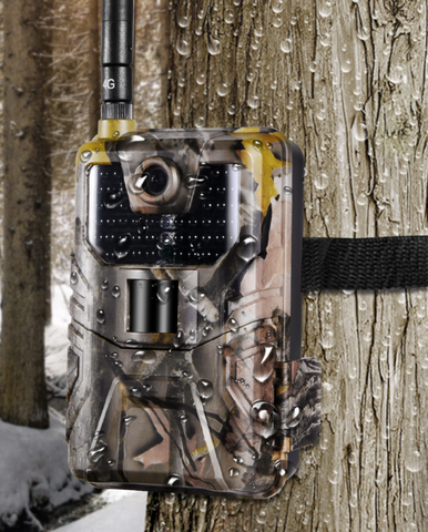 Cellular Wifi Trail Game Camera