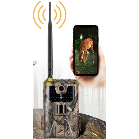 Cellular Deer Camera