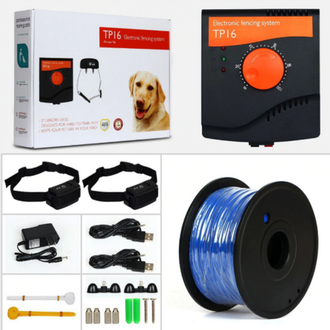 best electric dog fence