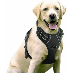 Heavy Duty No Pulling Front Clipping Dog Harness