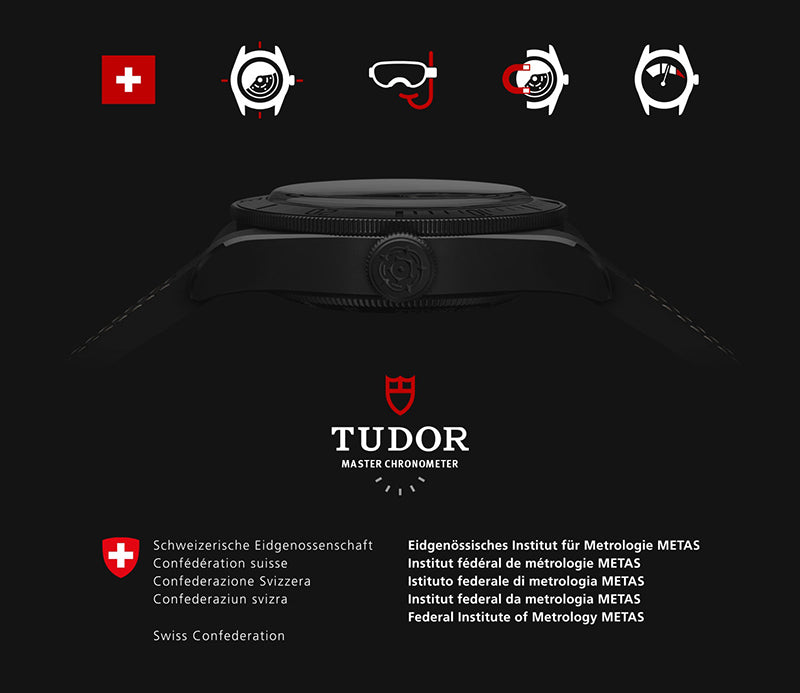 Tudor METAS