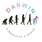 UK Gym Pits - Darwin Gymnastics & Dance Club