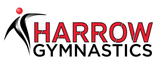 UK Gym Pits - Harrow School of Gymnastics