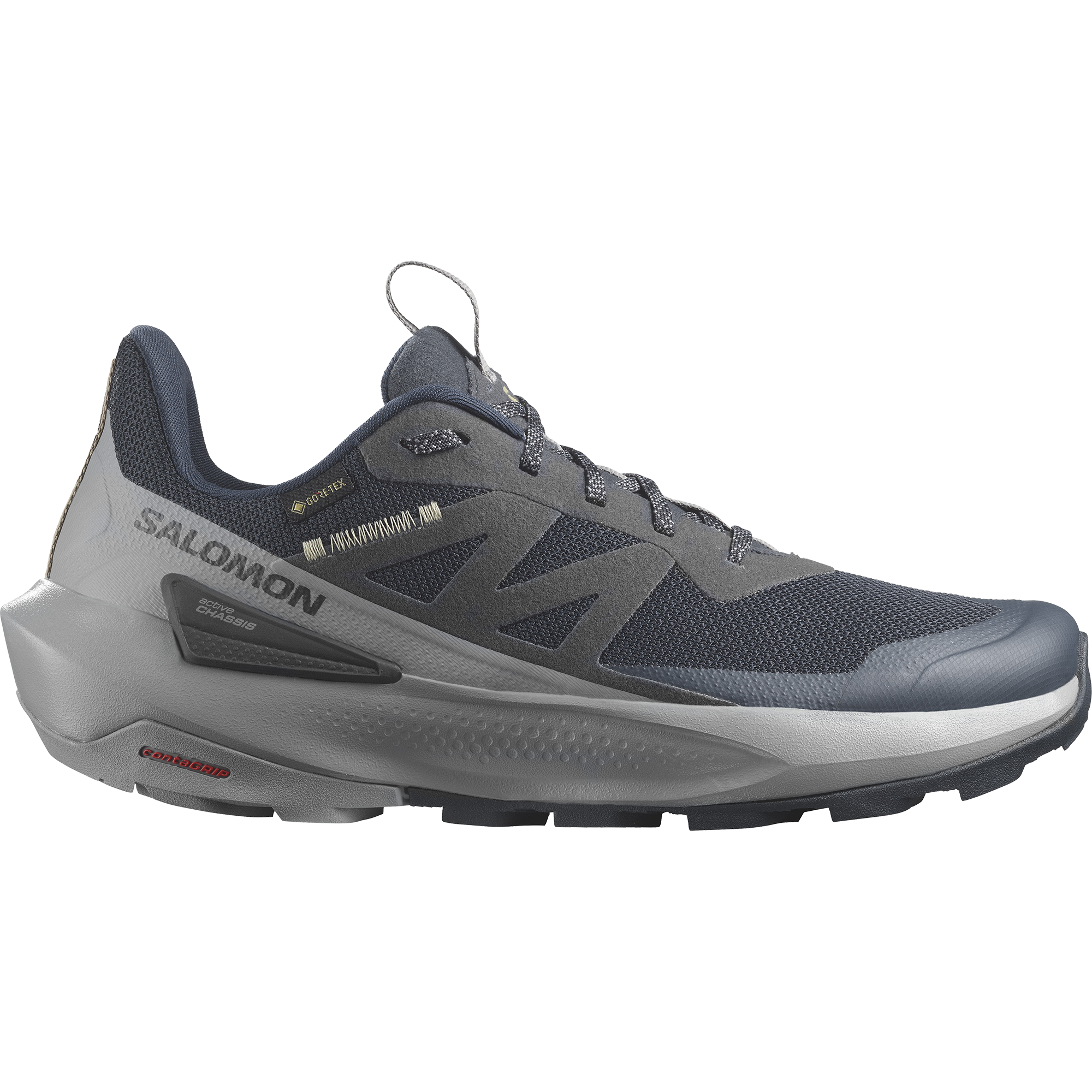 Salomon Men's Elixir Active Gore-Tex in Carbon