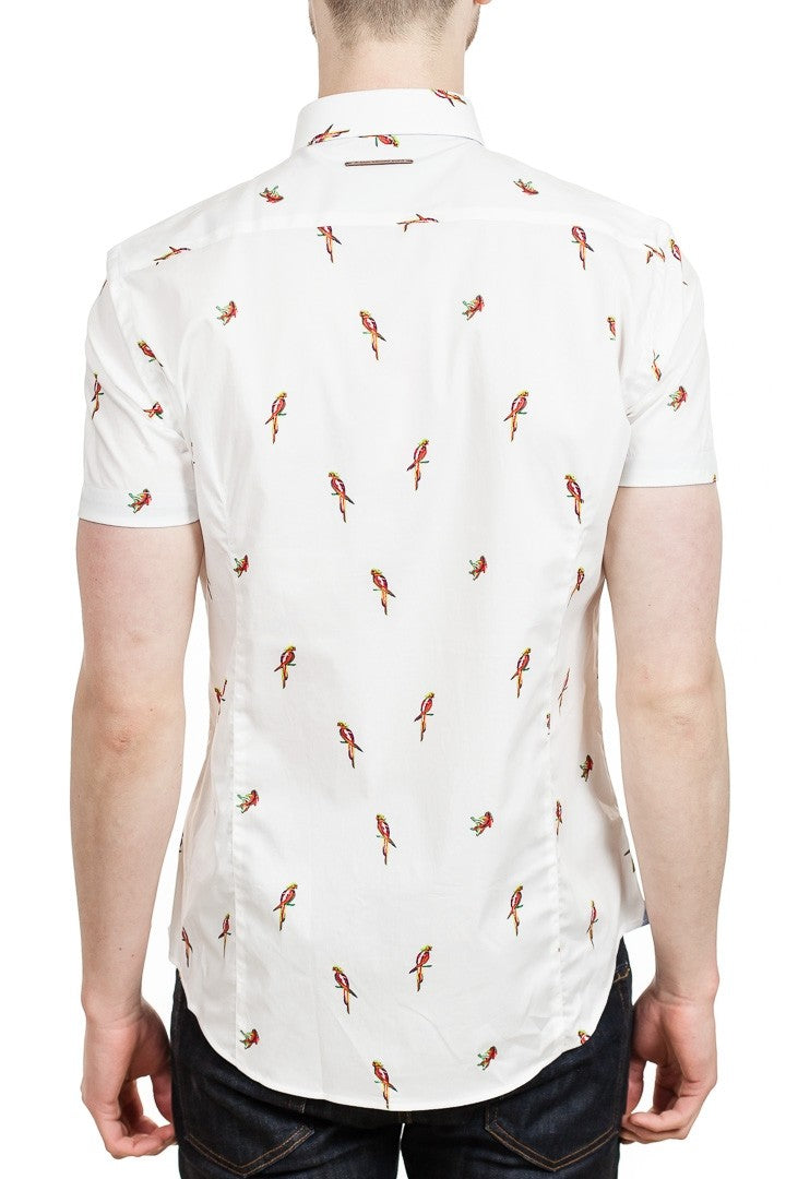 A Fish Named Fred Parrots Shirt