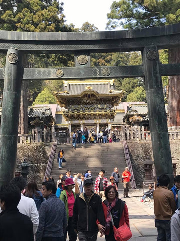 Visiting Nikko Toshogu Shrine (100 minutes visit)