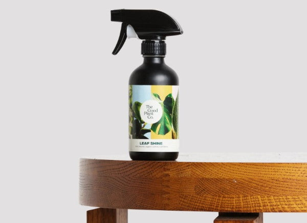 excellent product to use for cleaning the leaves of indoor plants