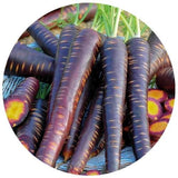 Purple Haze Carrots