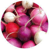 Radishes