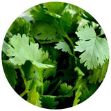 Parsley