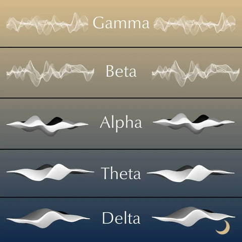 brain waves gamma alpha beta theta delta moonchild