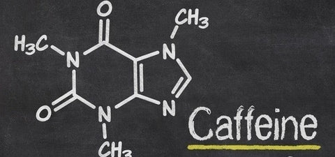 カフェインについて Roasters Lab Lig