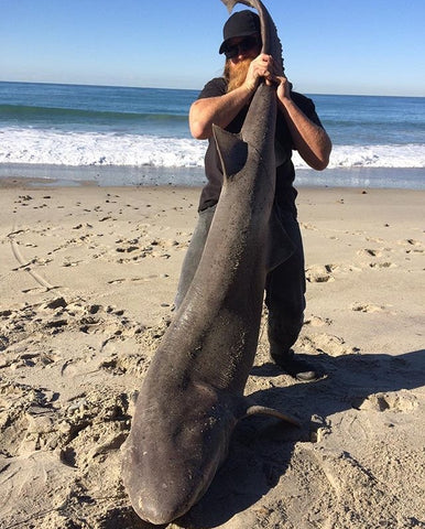 Landbased Shark Fishing California Style – Beach Drops – Terra