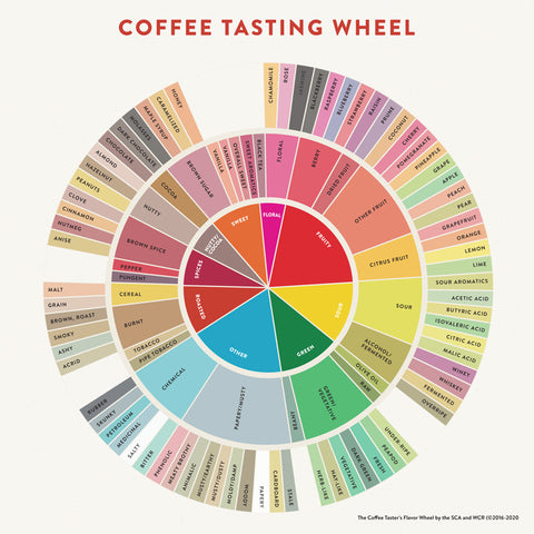 Coffee Tasting Wheel