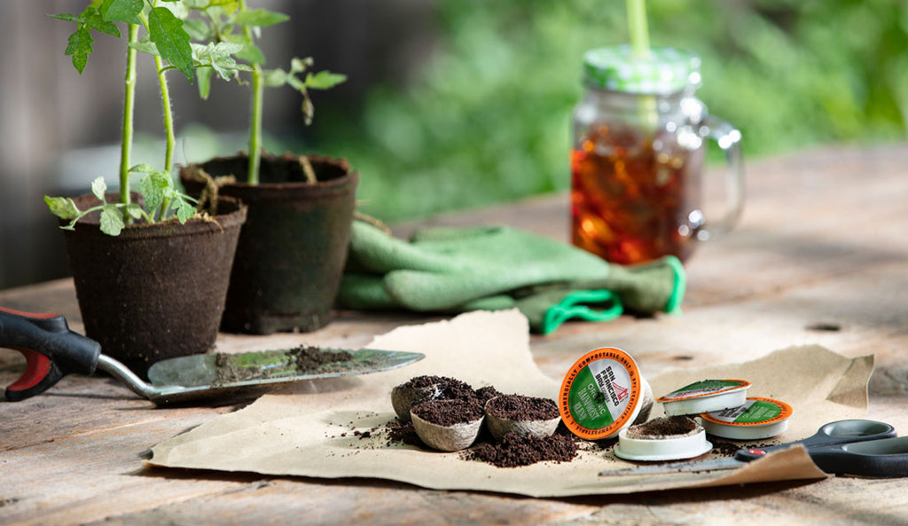 Gardening with coffee grounds.