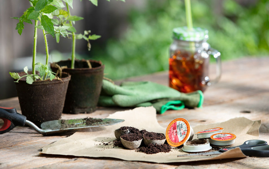 Using coffee grinds in the garden.