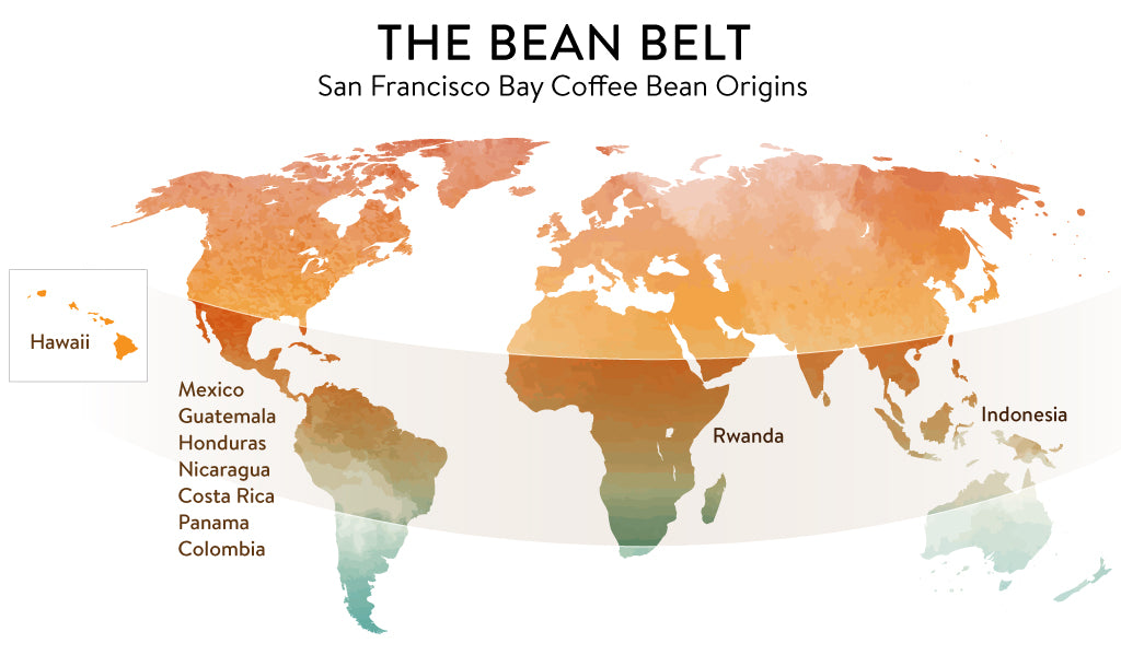 A graphic of The Bean Belt and the countries that San Francisco Bay Coffee sources their coffee.