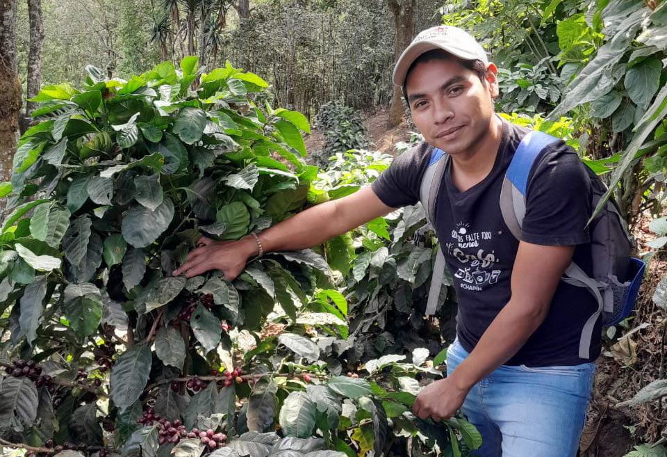 Coffee farmer René Edgardo Diaz Valenzuela