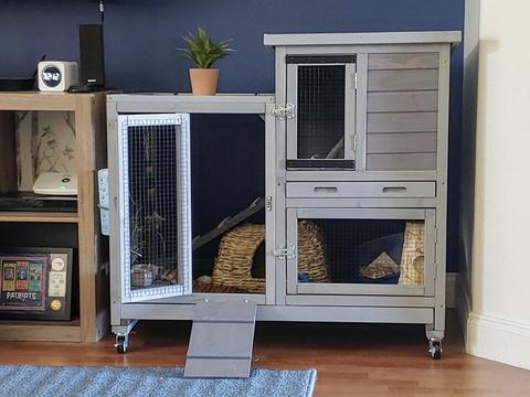 outdoor rabbit hutch