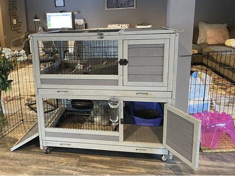 indoor rabbit hutch