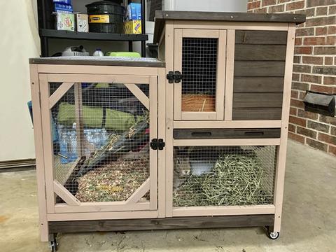 outdoor rabbit cage