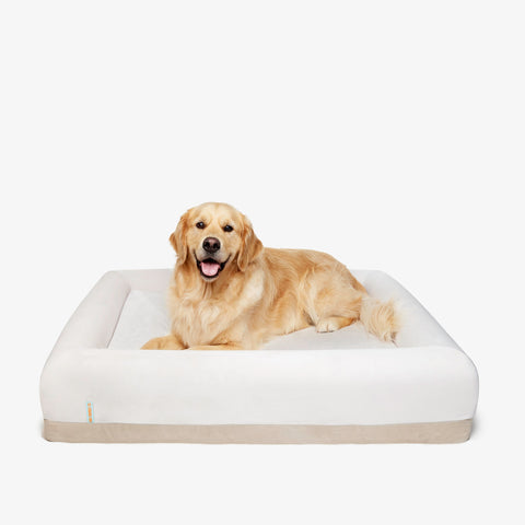 DF Co. Memory Foam Dog Bed