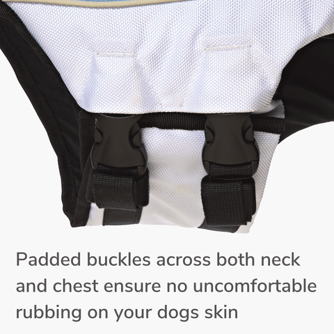 dog friendly co life jacket padded buckle