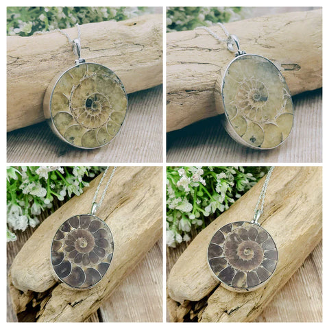 fossil jewellery