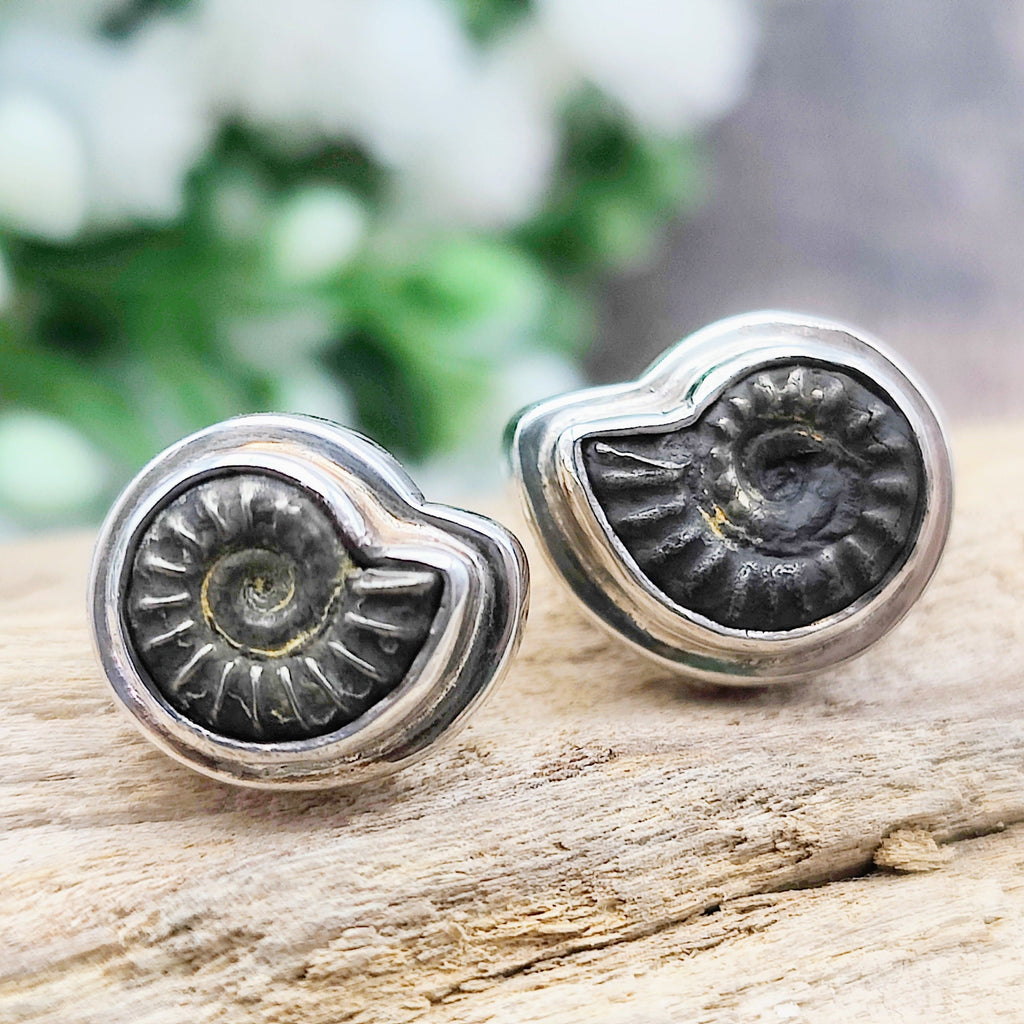 Small Ammonite Earrings | 20mm | Madagascan Fossils | Sterling Silver