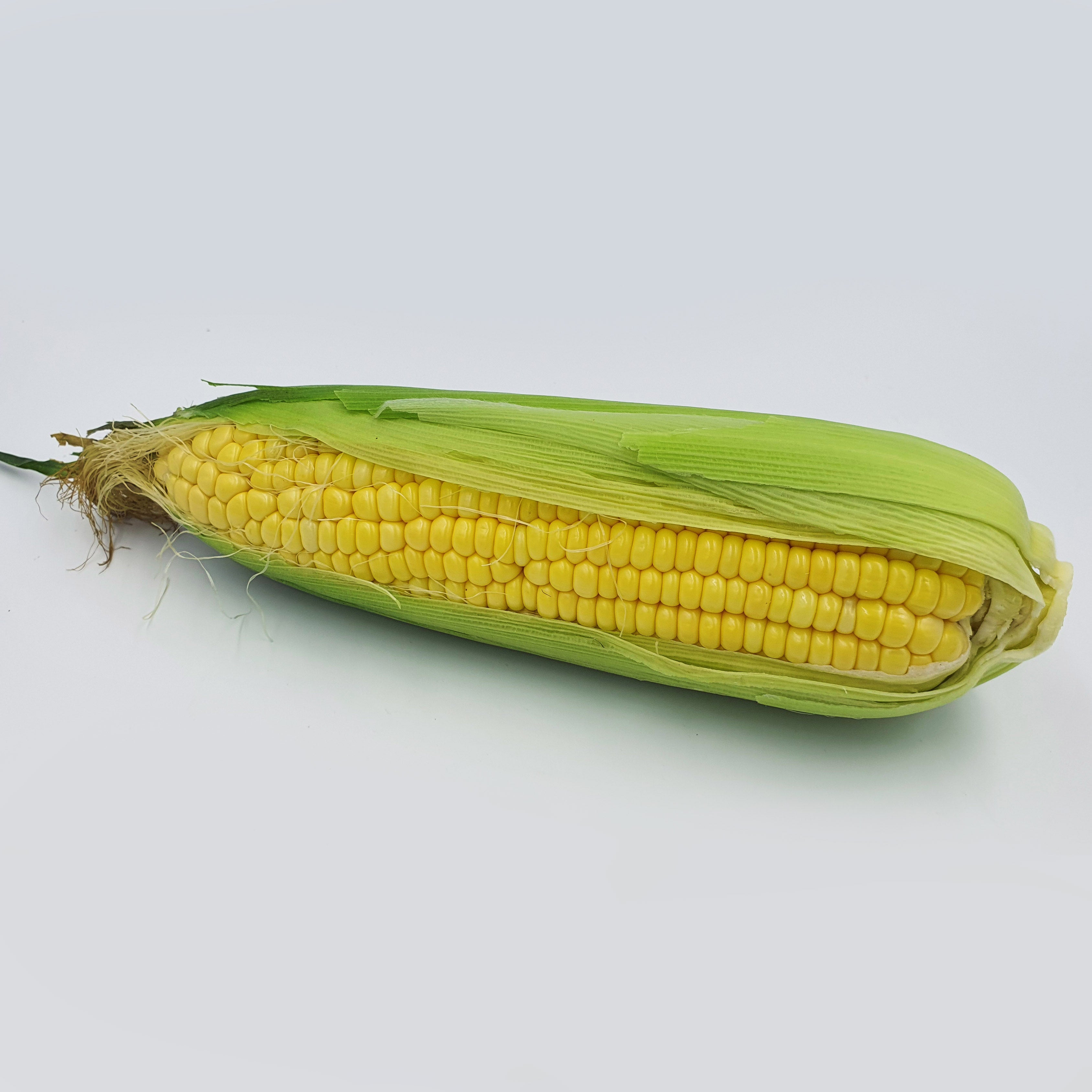 Sweet Corn 玉米