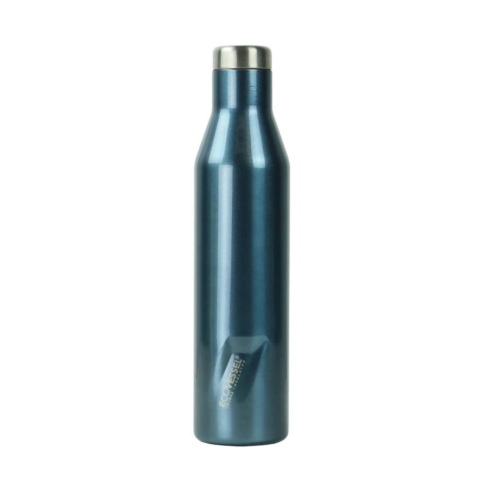 NEW! 2022 ASPEN - Insulated Stainless Steel Water & Wine Bottle with H —  EcoVessel