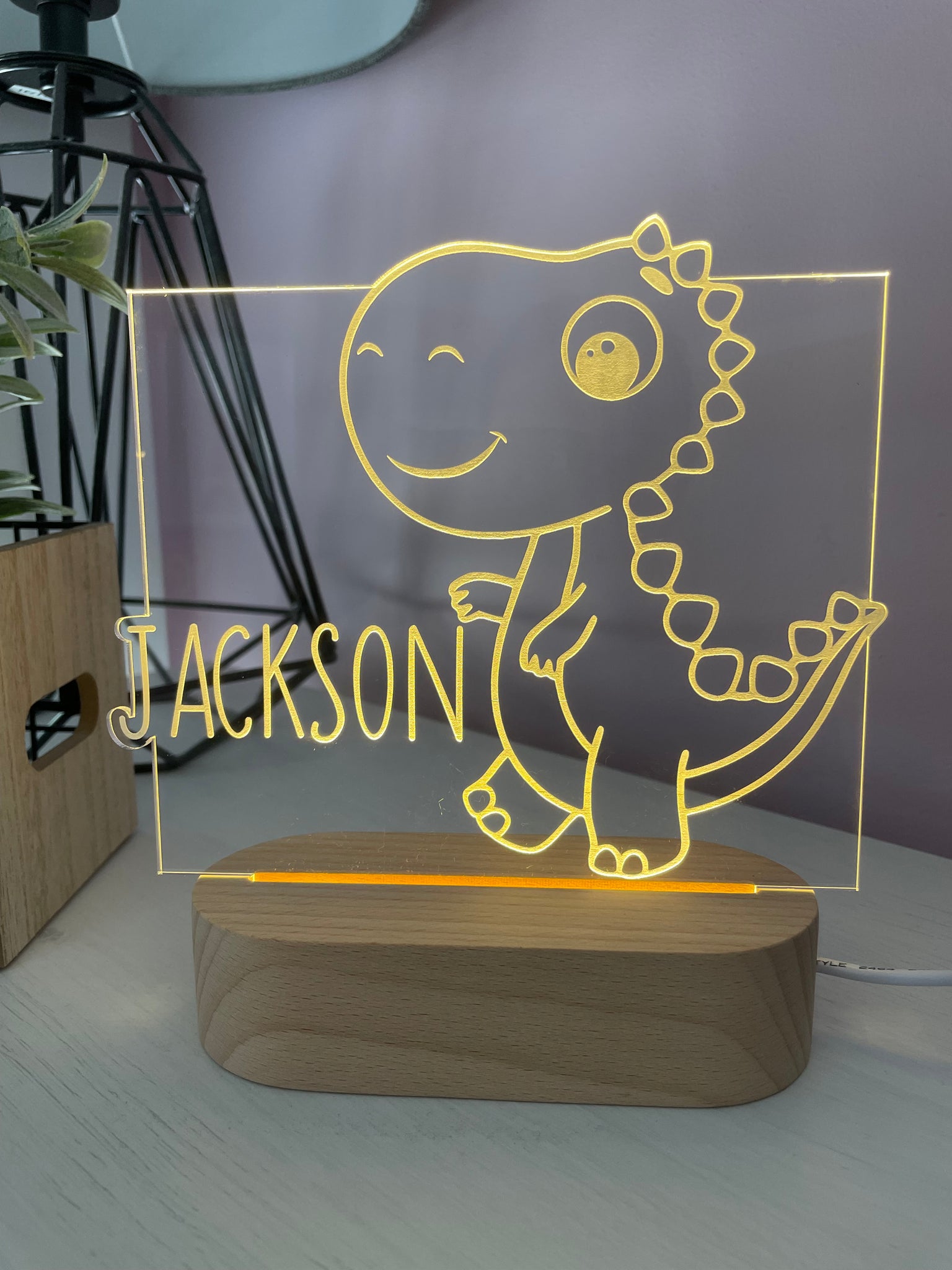 dinosaur name night light