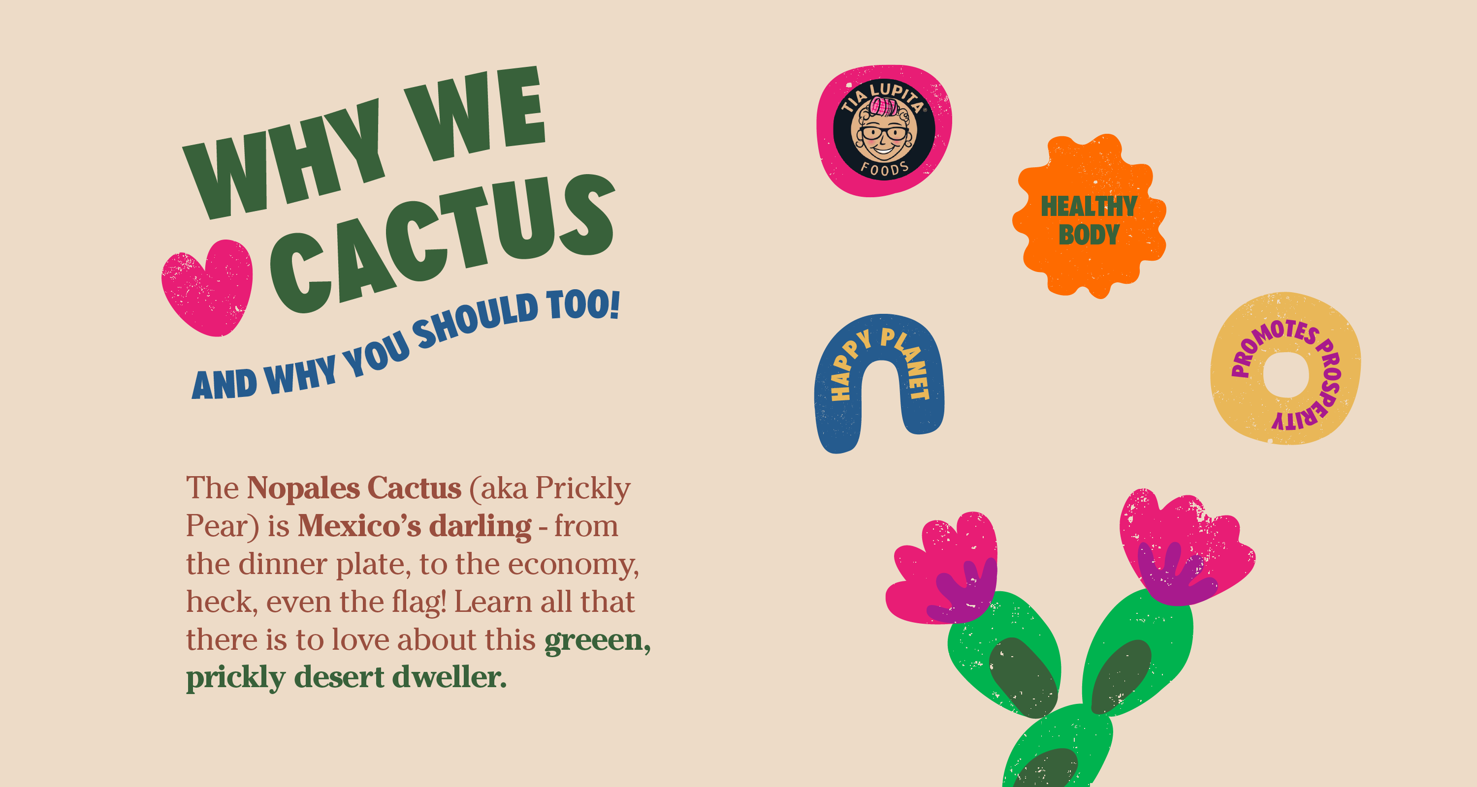 Why we love cactus and why you should too!