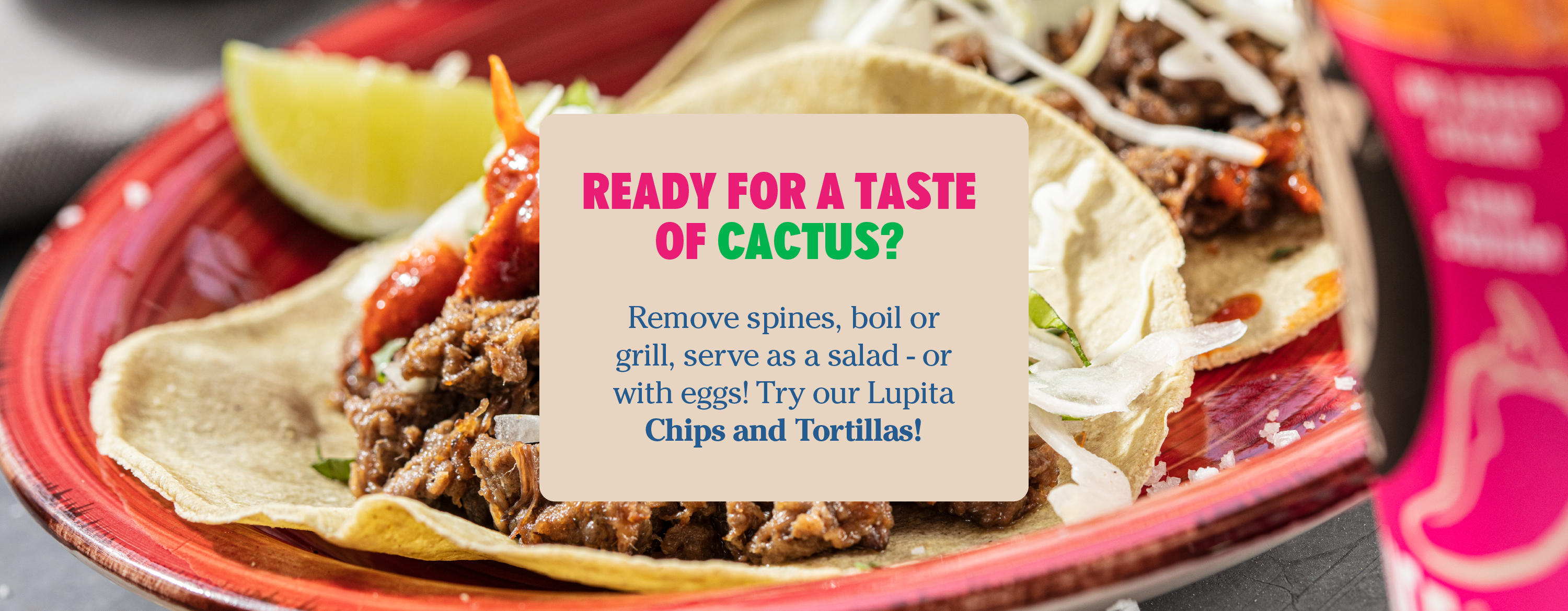 Ready for a taste of Cactus?