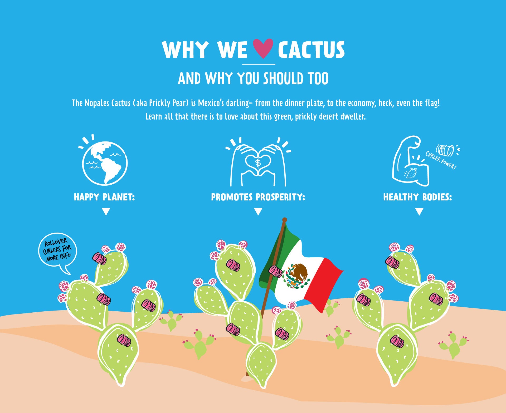 Cactus Interactive Infographic- Tia Lupita Foods