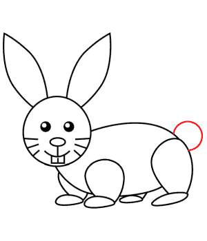 Dessin Lapin Facile  Le Terrier du Lapin