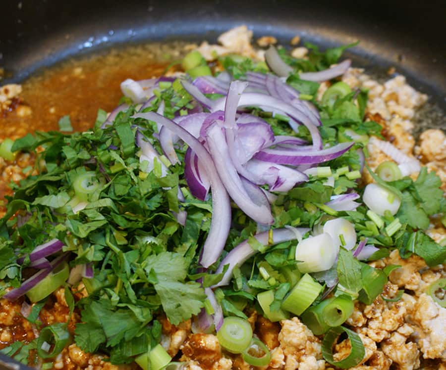 Larb Gai (Thai Minced Chicken Salad) Recipe by Kanokwan - NDTV Food