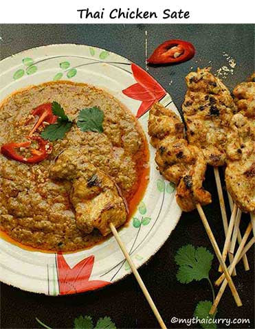 Thai Chicken Satay