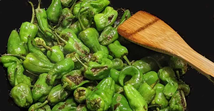 Cooking Padron peppers.