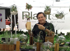 Les Stein The Owner of Plantstr Air Plants