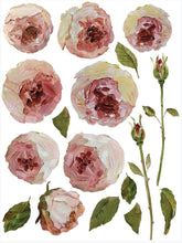 Load image into Gallery viewer, Iron Orchid Designs Transfer-Painterly Florals