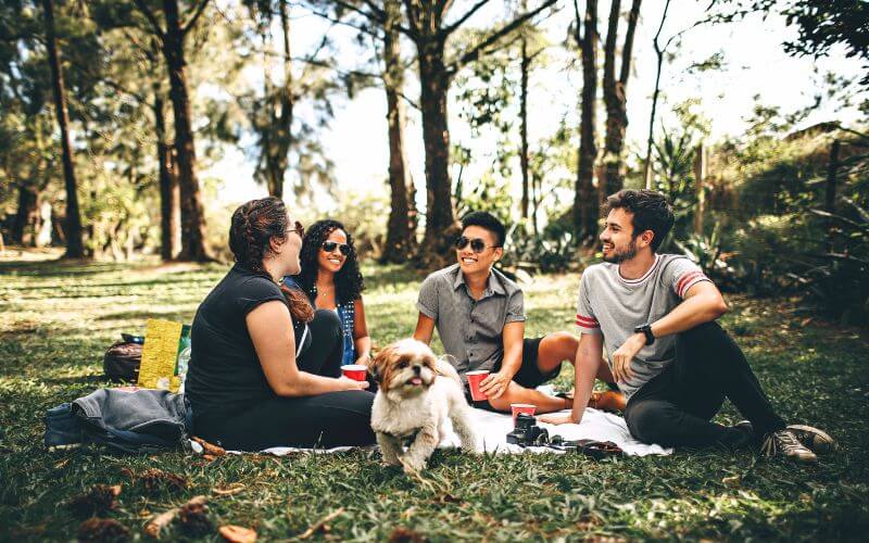 dog picnic