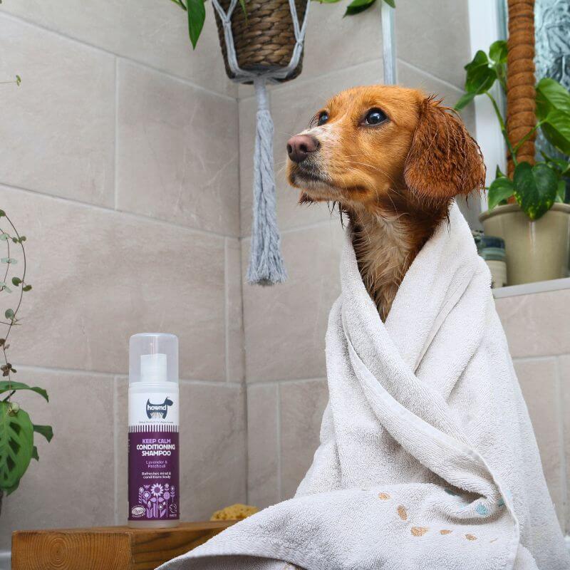 Natural dog shampoo keep calm, dog in bath towel.jpg__