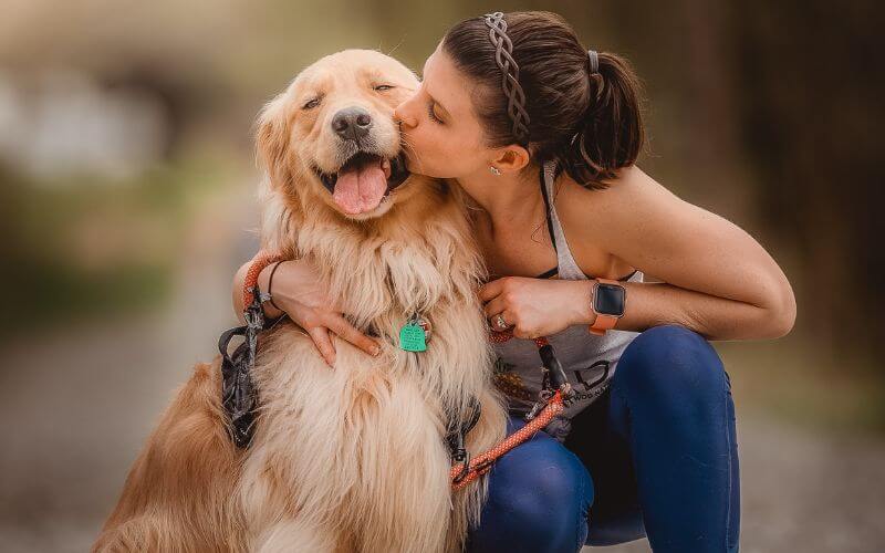 golden retriever with woman owner