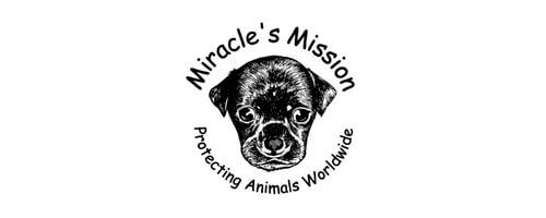 miracles mission