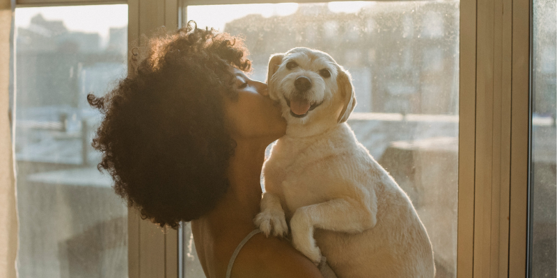 dog smiling into camera