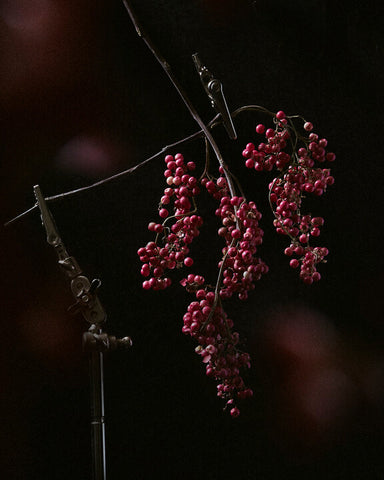 Pink peppercorn